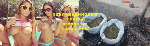 твердый Карпинск