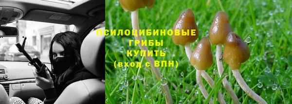 спиды Алексеевка