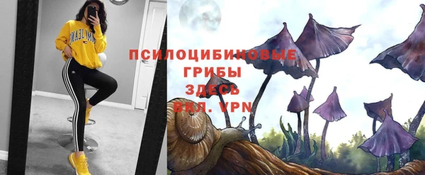 скорость Алзамай