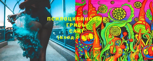 спиды Алексеевка