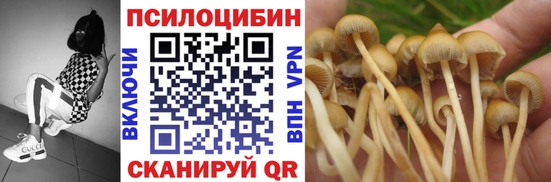 где найти наркотики  Далматово  Псилоцибиновые грибы прущие грибы 